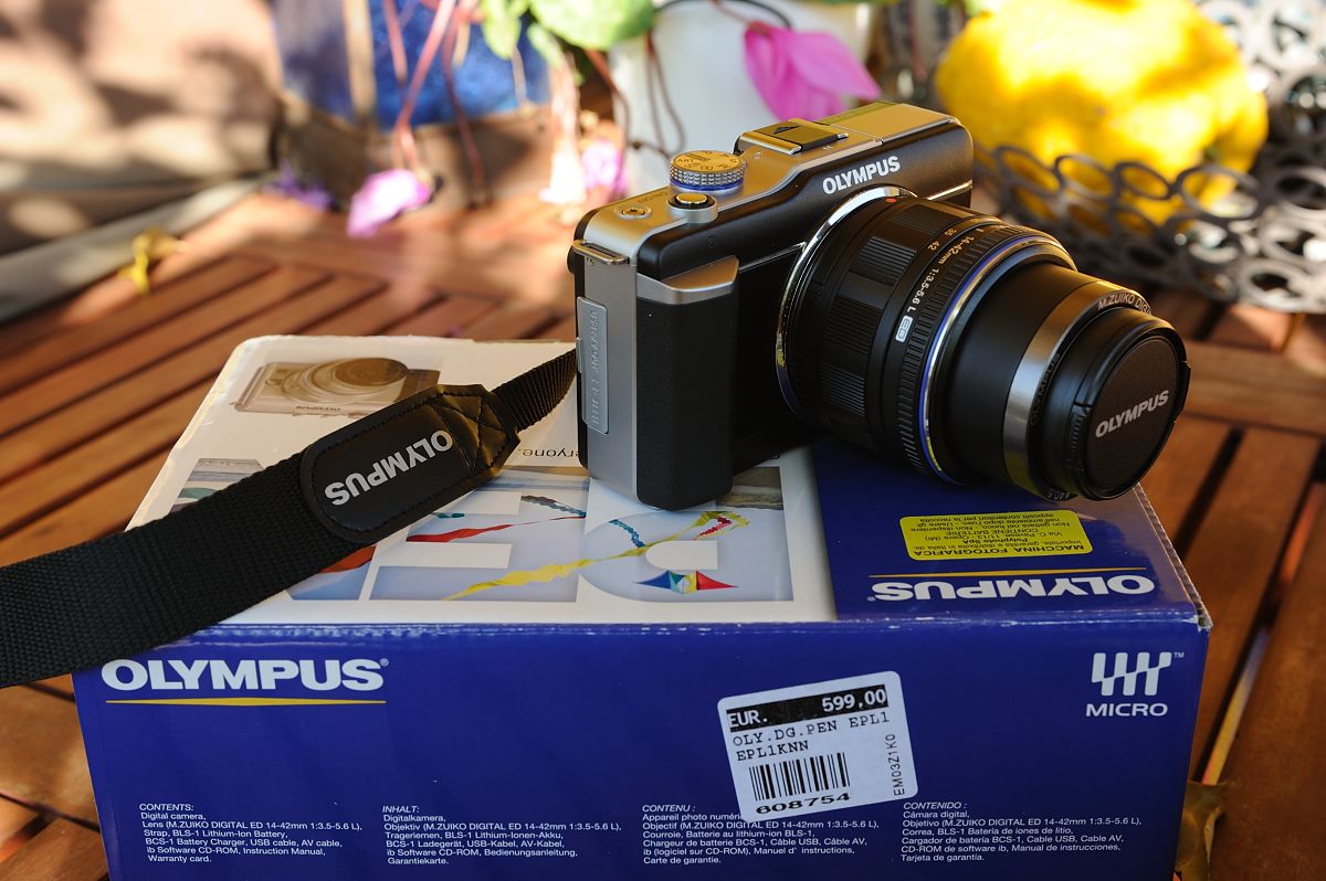 D70_7025.JPG