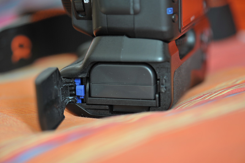 D7A_4488.jpg