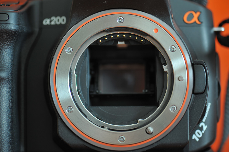 D7A_4490.jpg