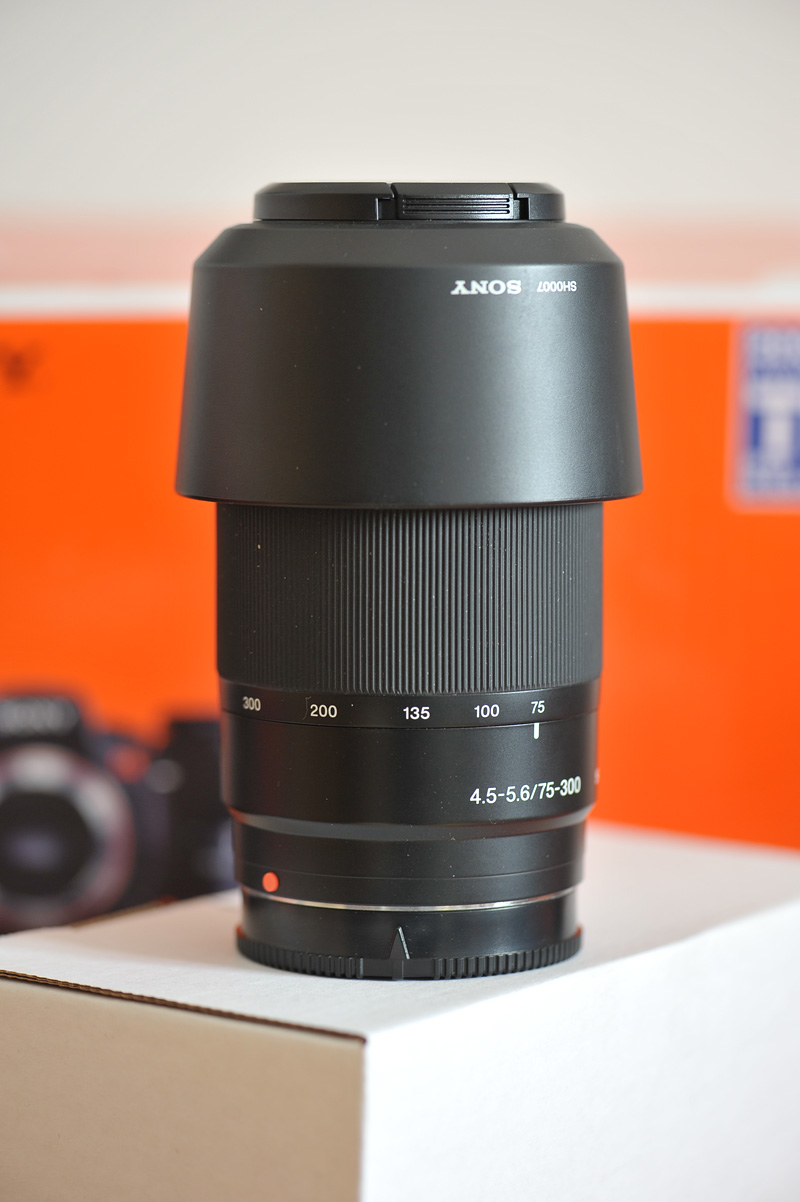 D7A_4496.jpg