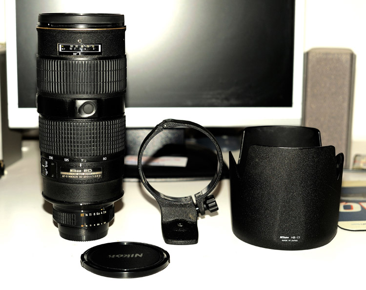 D7B_5050.jpg