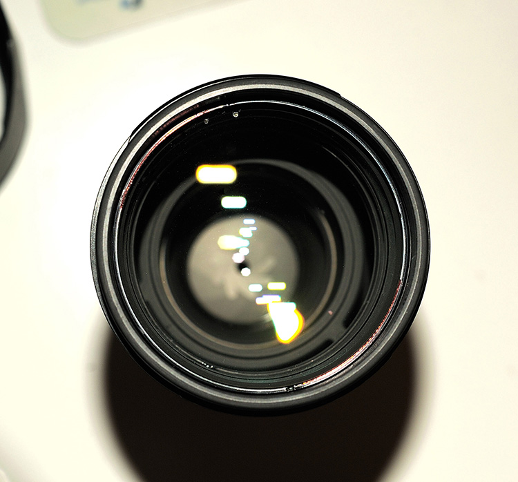 D7B_5052.jpg