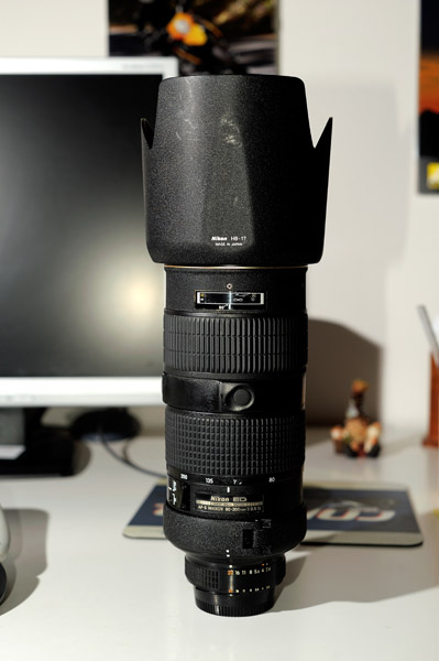 D7B_5091.jpg