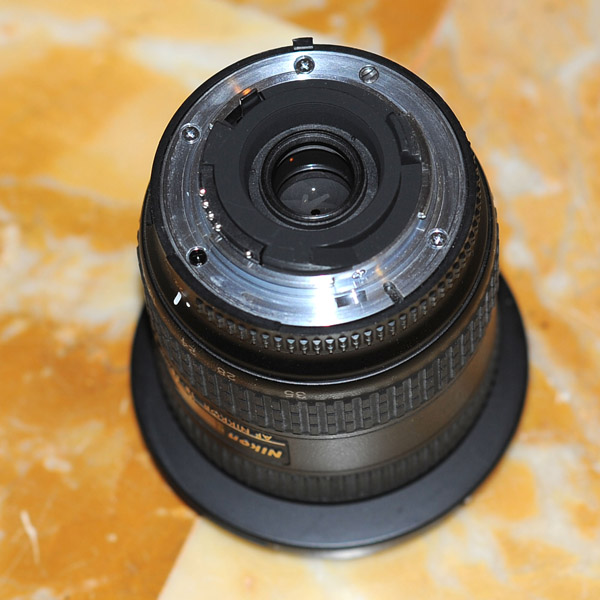 D7B_5365.jpg