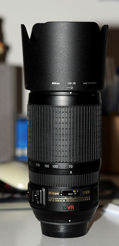 D7B_5516.jpg