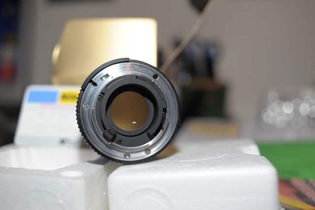 D7B_5974.jpg