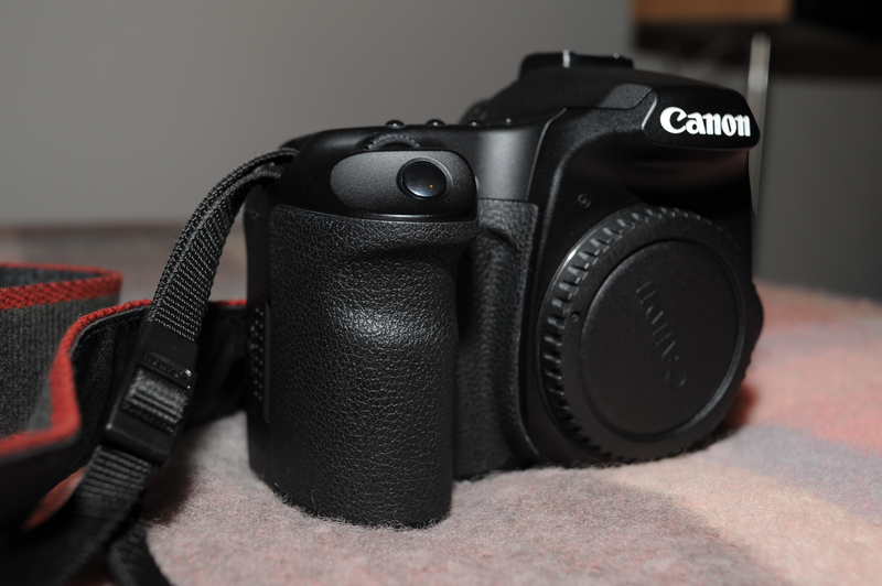 D7B_7737.jpg