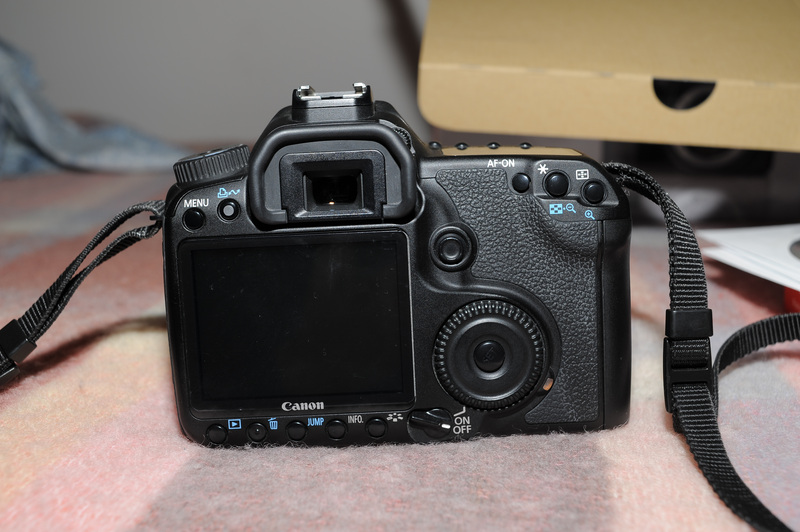 D7B_7740.jpg