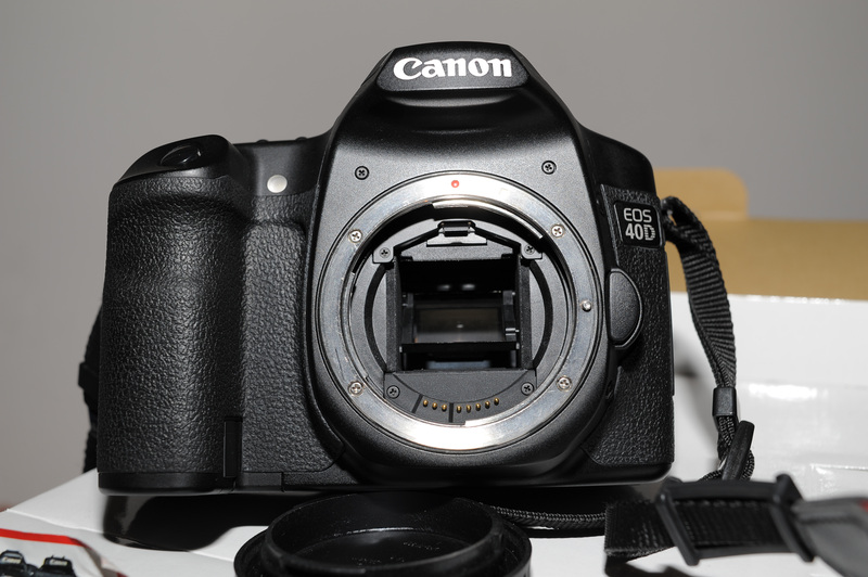 D7B_7746.jpg