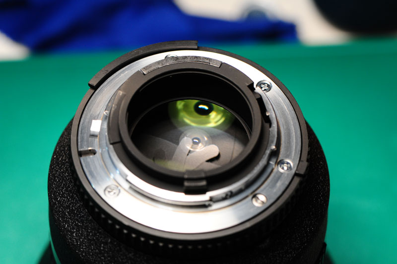 D7C_0071.jpg