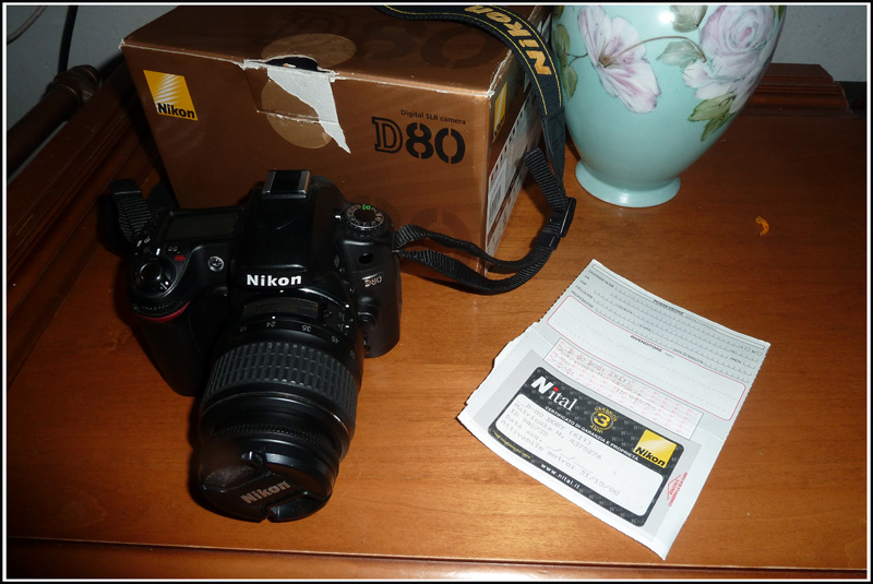 D80-1.jpg