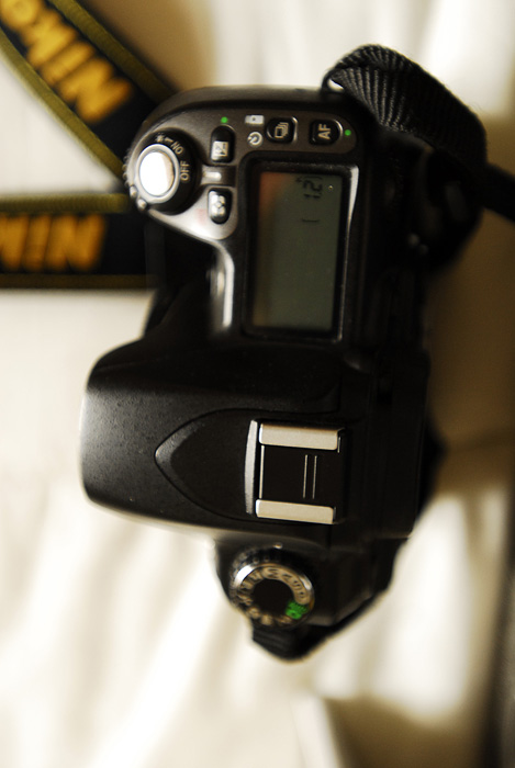 d802.jpg