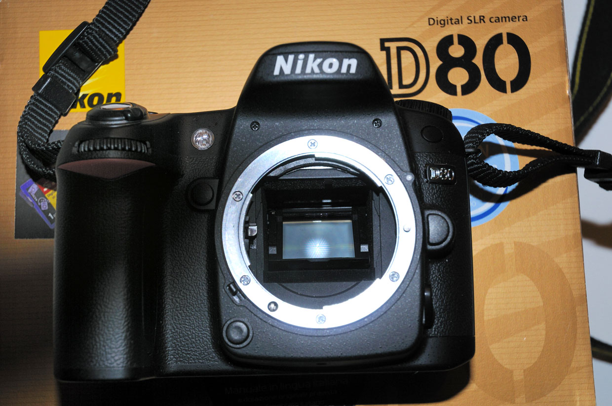 d80_02.jpg