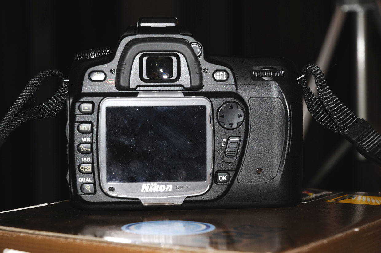 d80_03.jpg
