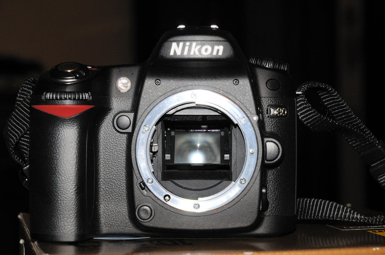 d80_04.jpg