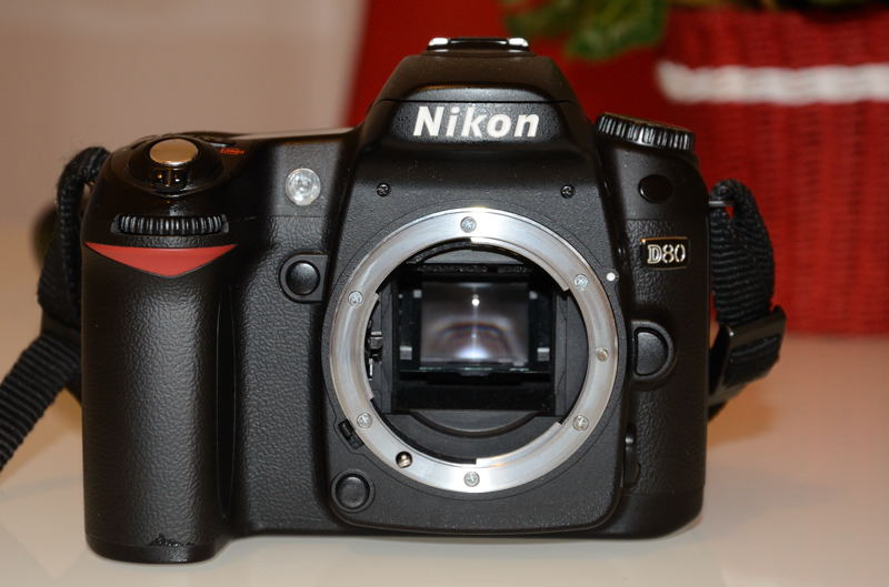 D80_2.jpg