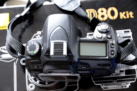 D80 (2)b.jpg