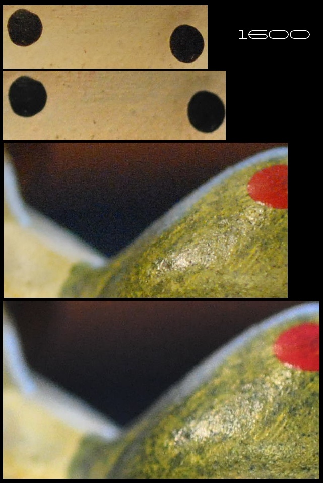D80vsD90 1600 iso.jpg