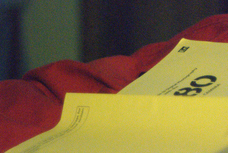 D81_1.jpg