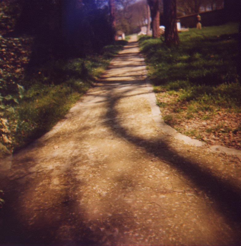 D_013_004 copy.jpg