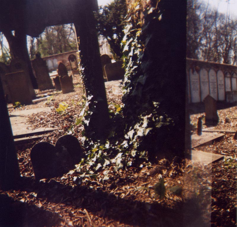 D_013_006.jpg