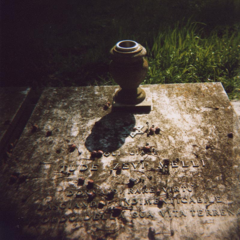 D_013_013.jpg