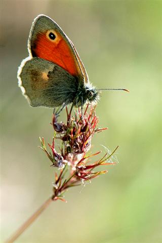 D 70 047 (Small).jpg