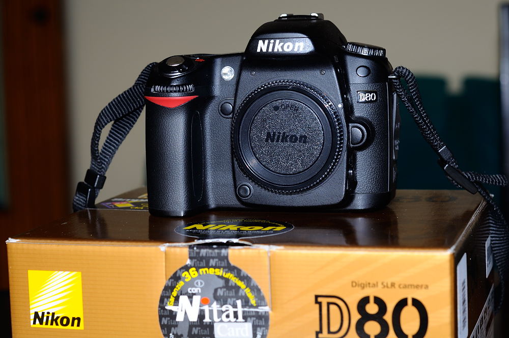 D 80_016 .JPG