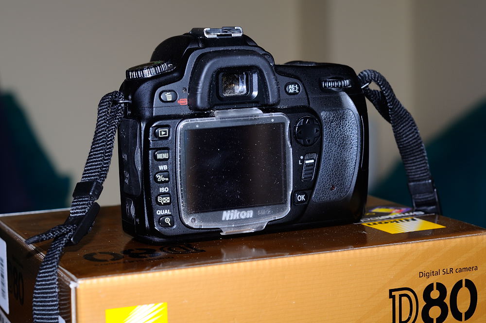D 80_019 .JPG