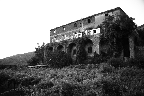 d (9).jpg