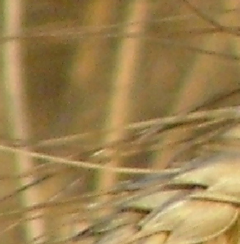 da-stampare0041.jpg