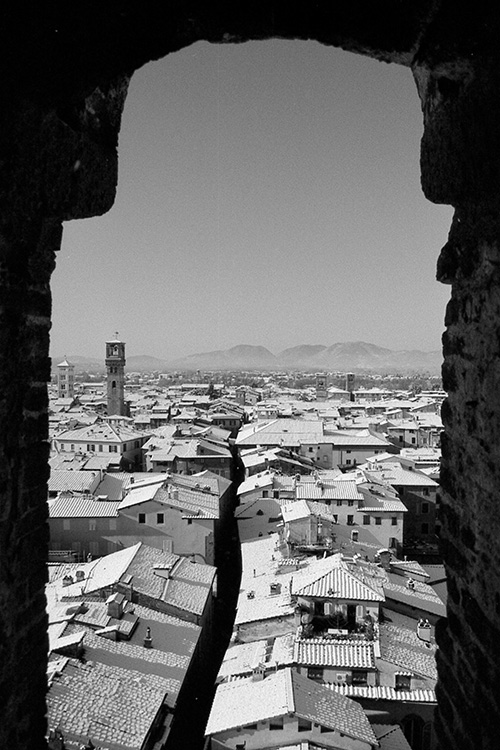 Dalla torre.jpg