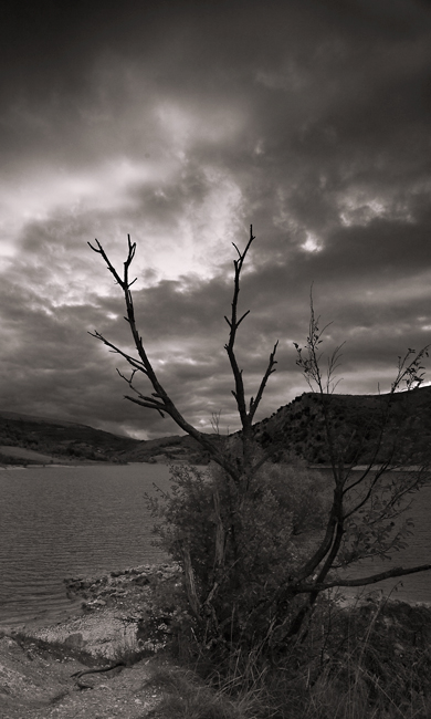 dark-loneliness2.jpg