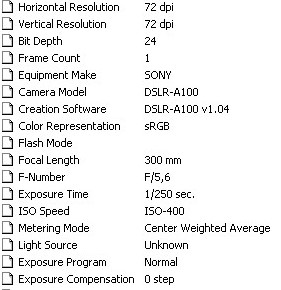 dati exif.jpeg