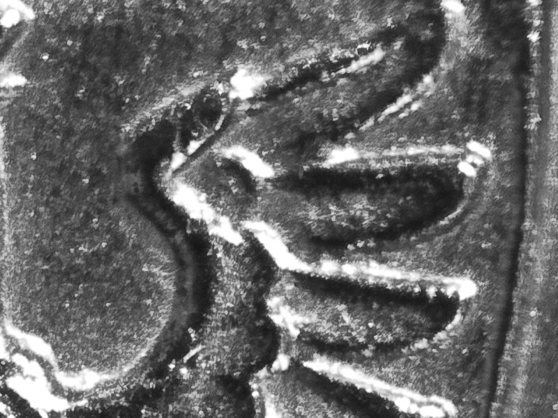 DCR-150mm crop.jpg