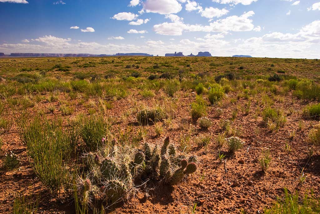 desert.jpg