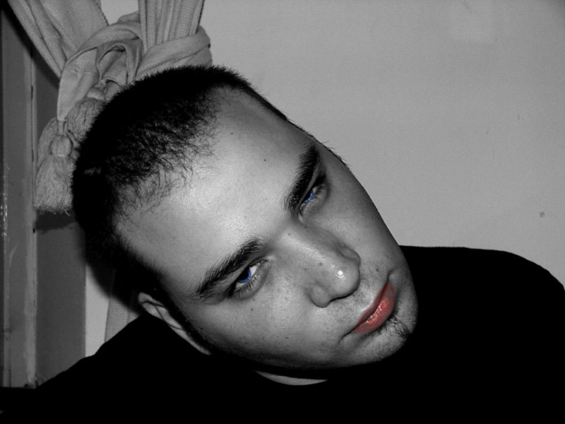 desktop colorized 800x600.jpg