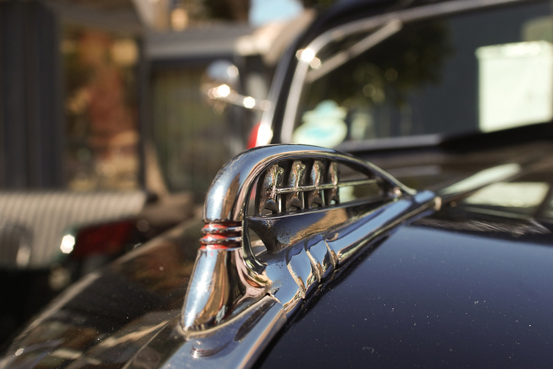 Detail-7154.jpg