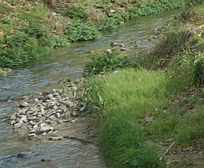 dett_6500.jpg