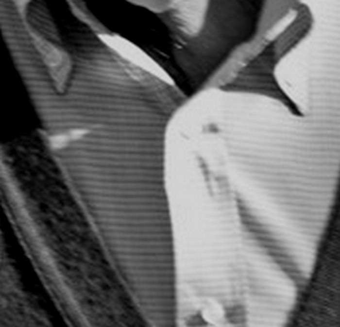 dettaglio_02.JPG