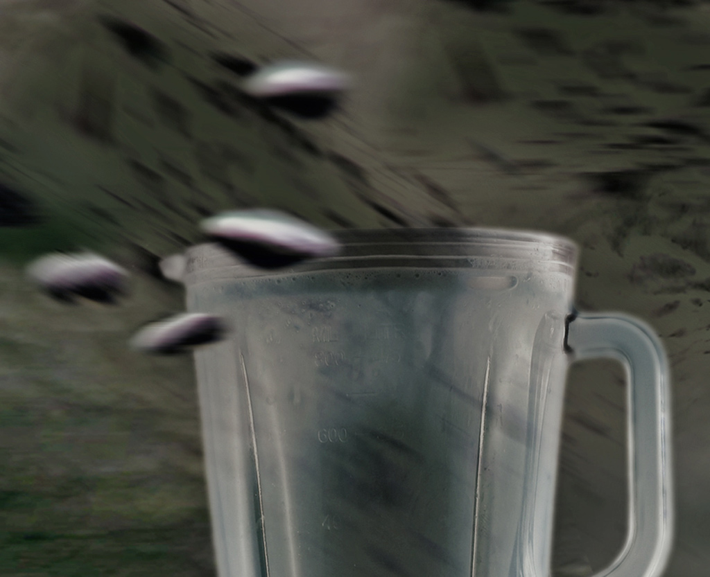 dettaglio.jpg
