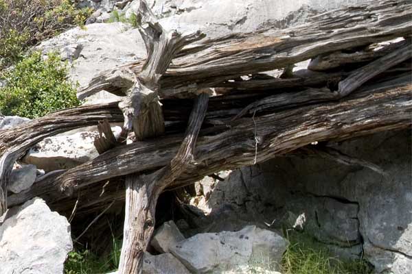 dettaglio scala.jpg