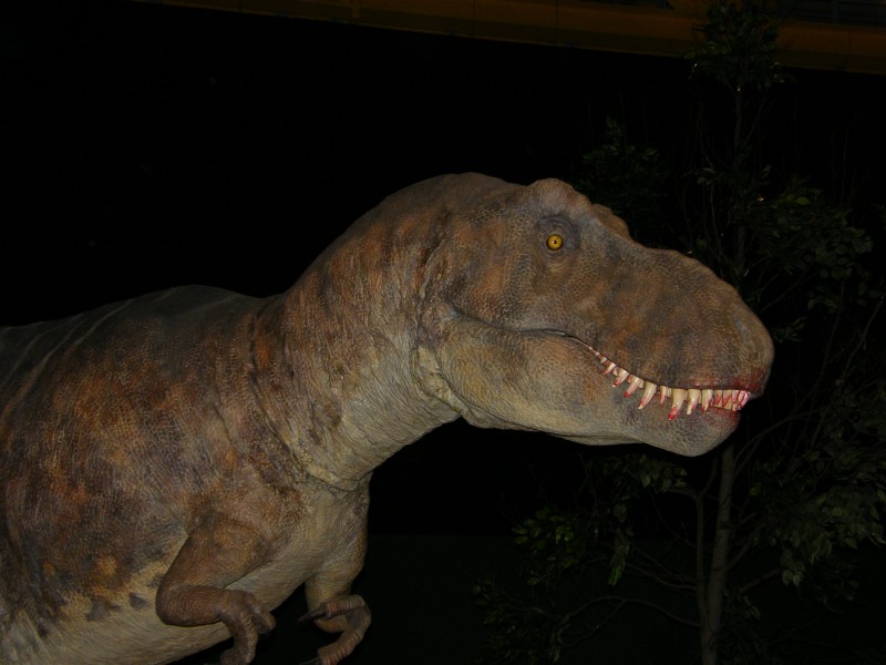 Dinosauro 3.jpg