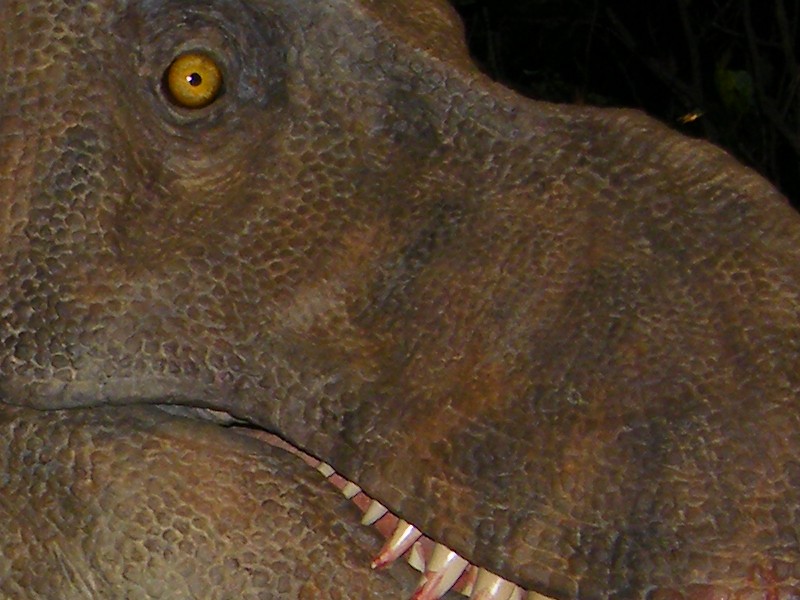 Dinosauro 3 crop.jpg