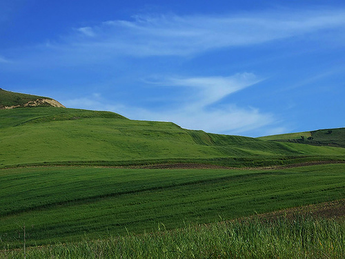 Dintorni Poggiorsini.jpg