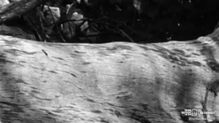 DirectDaniellaMedium_1520.jpg