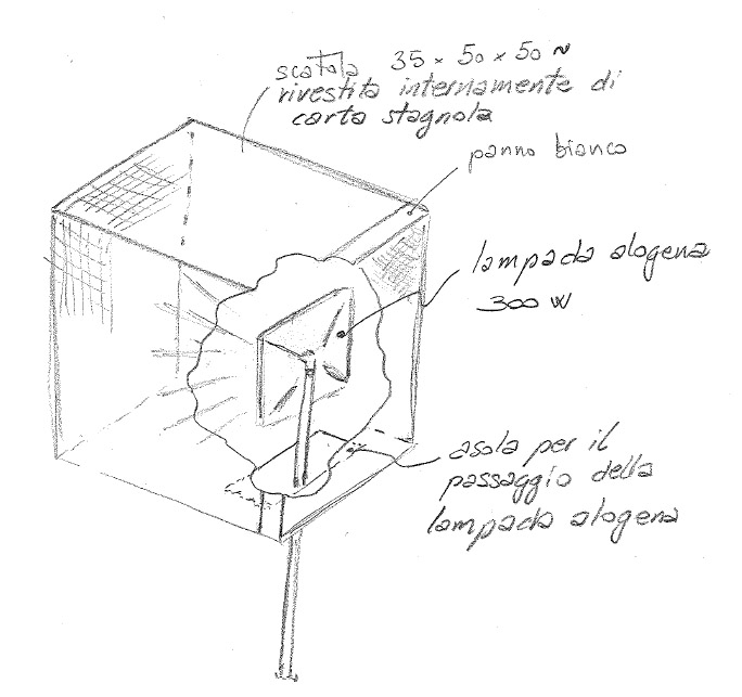 Disegno.jpg