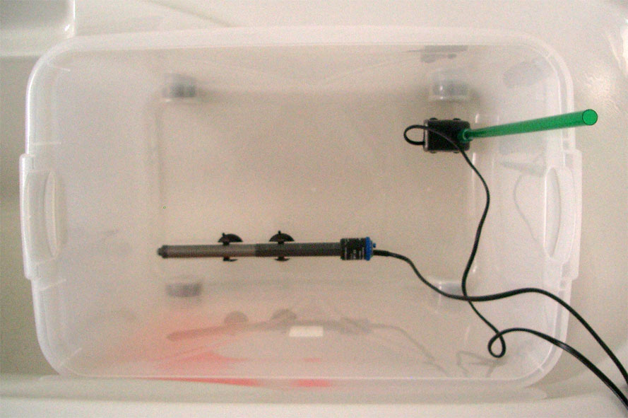 Disposizione interna.jpg