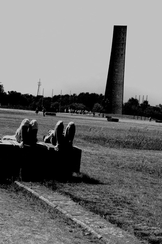 distesi ad un pallido sole nel campo.jpg