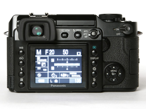 DMC L1 rear.jpg